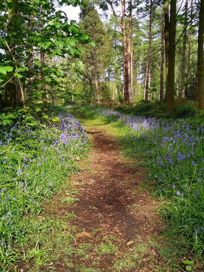 Hollicarrs - Long Lane Lodge *