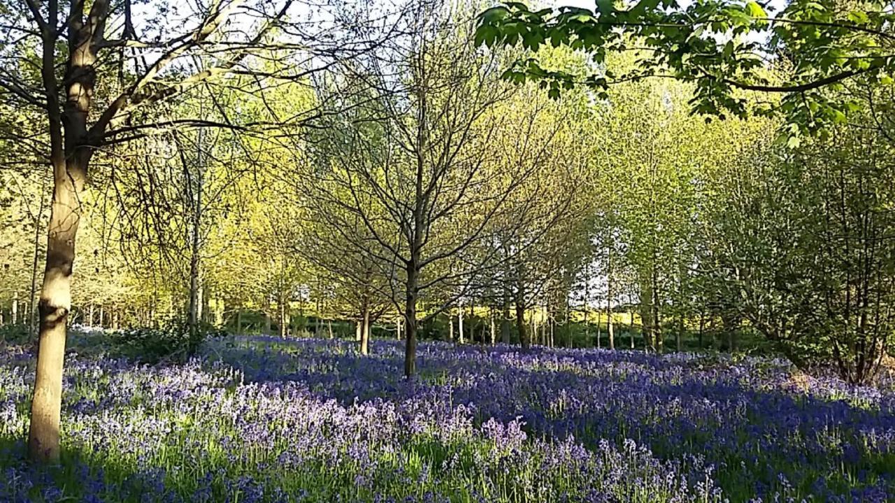 Hollicarrs - Long Lane Lodge *