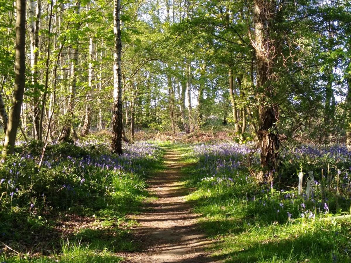 Lodge Hollicarrs - Long Lane *